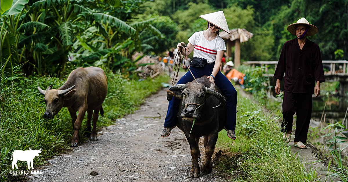 Vietnam authentic eco tour - Unique eco travel experience in Ninh Binh