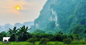 Landscape of buffalo cave tours