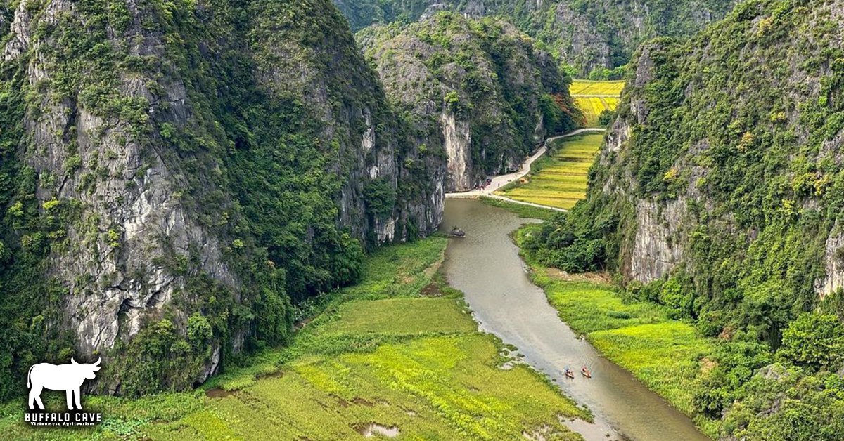 Ninh Bình - Excursion de 3 jours et 2 nuits à la grotte des buffles