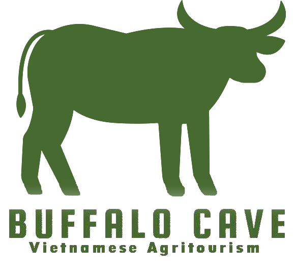 Vietnam authentic eco tour